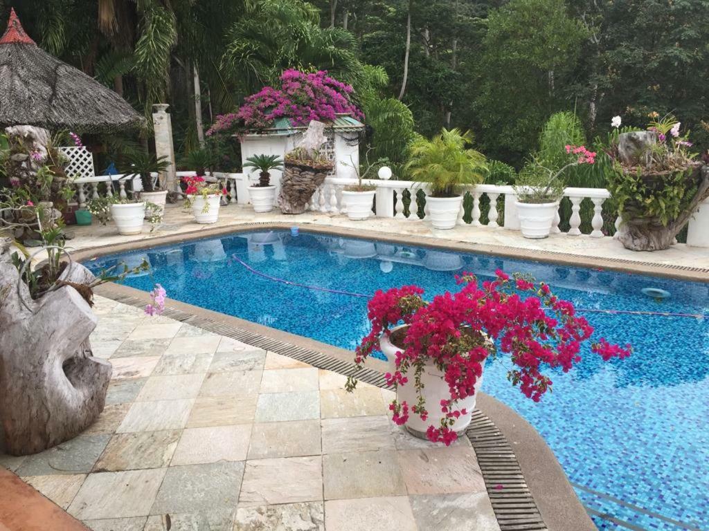 Casa Doro Villa Glacis  Luaran gambar